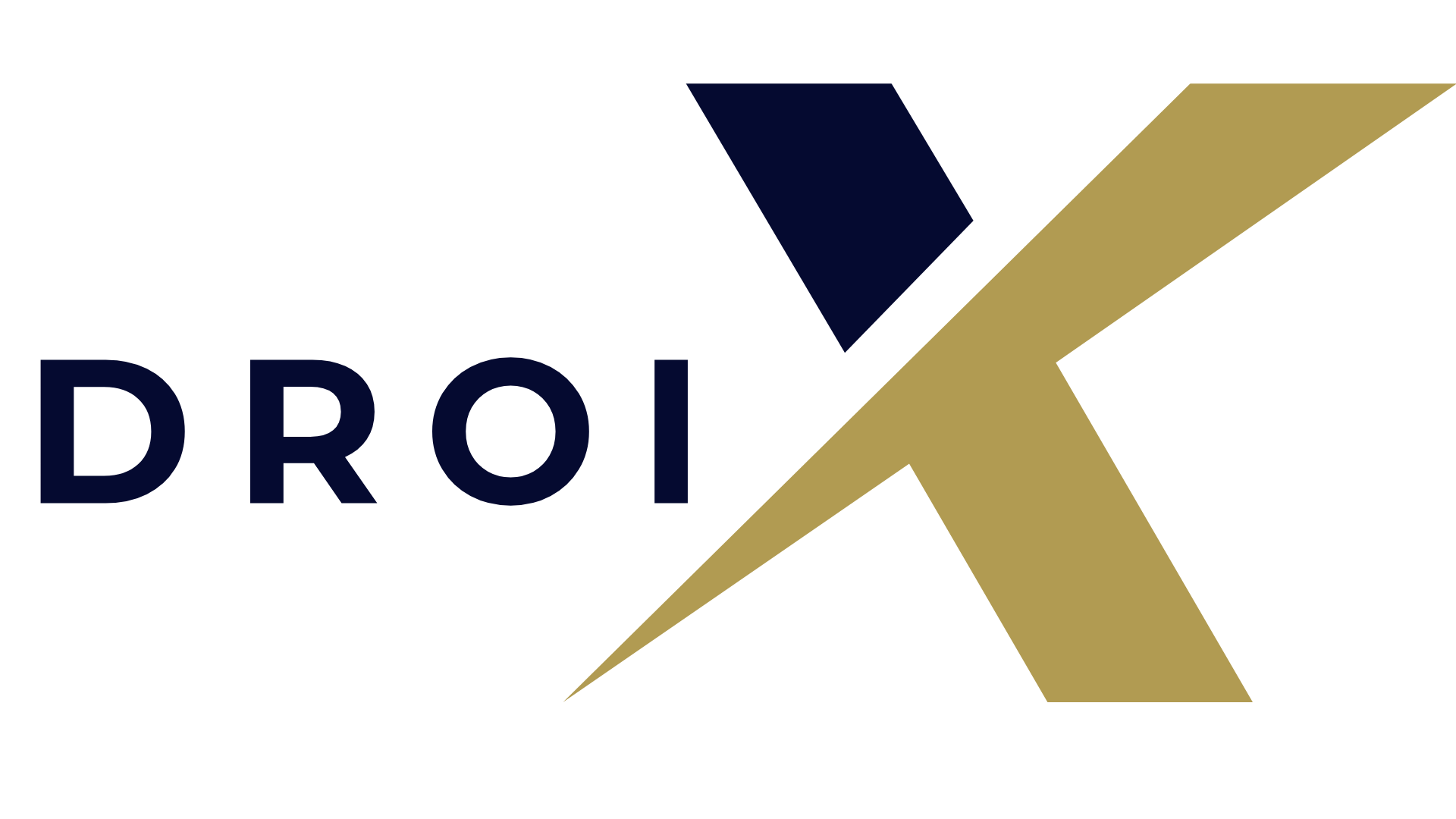 DroiX New Logo 2024 (1)